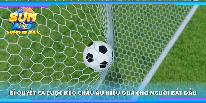 Chia sẻ bí quyết cá cược kèo châu Âu hiệu quả