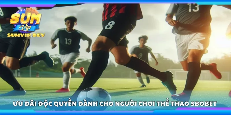 Ưu đãi độc quyền dành cho người chơi thể thao Sbobet